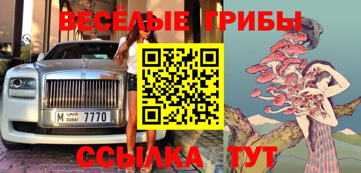 Галлюциногенные грибы Psilocybe Березники